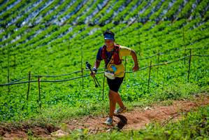 BIB: 
                            <button type="button" onclick="openModal(19164301)" class="btn btn-primary btn-sm float-right btn-popup" data-toggle="modal" data-target=".modal-high-quality">
                        <i class="fas fa-shopping-cart"></i> Add to Cart
                    </button>
                                            <button type="button" onclick="isThisMe(19164301, true)" class="btn btn-success btn-sm float-right btn-popup btn-isme hidden" data-toggle="tooltip" data-placement="bottom" title="นี่คือรูปของคุณใช่ไหม คลิกที่นี่เพื่อเอาเข้าอัลบั้ม">
                        <i class="fas fa-plus"></i> Add to album
                    </button>
                    <button type="button" onclick="isThisMe(19164301, false)" class="btn btn-warning btn-sm float-right btn-popup btn-isnotme hidden">
                        <i class="fas fa-ban"></i> Remove from album
                    </button>